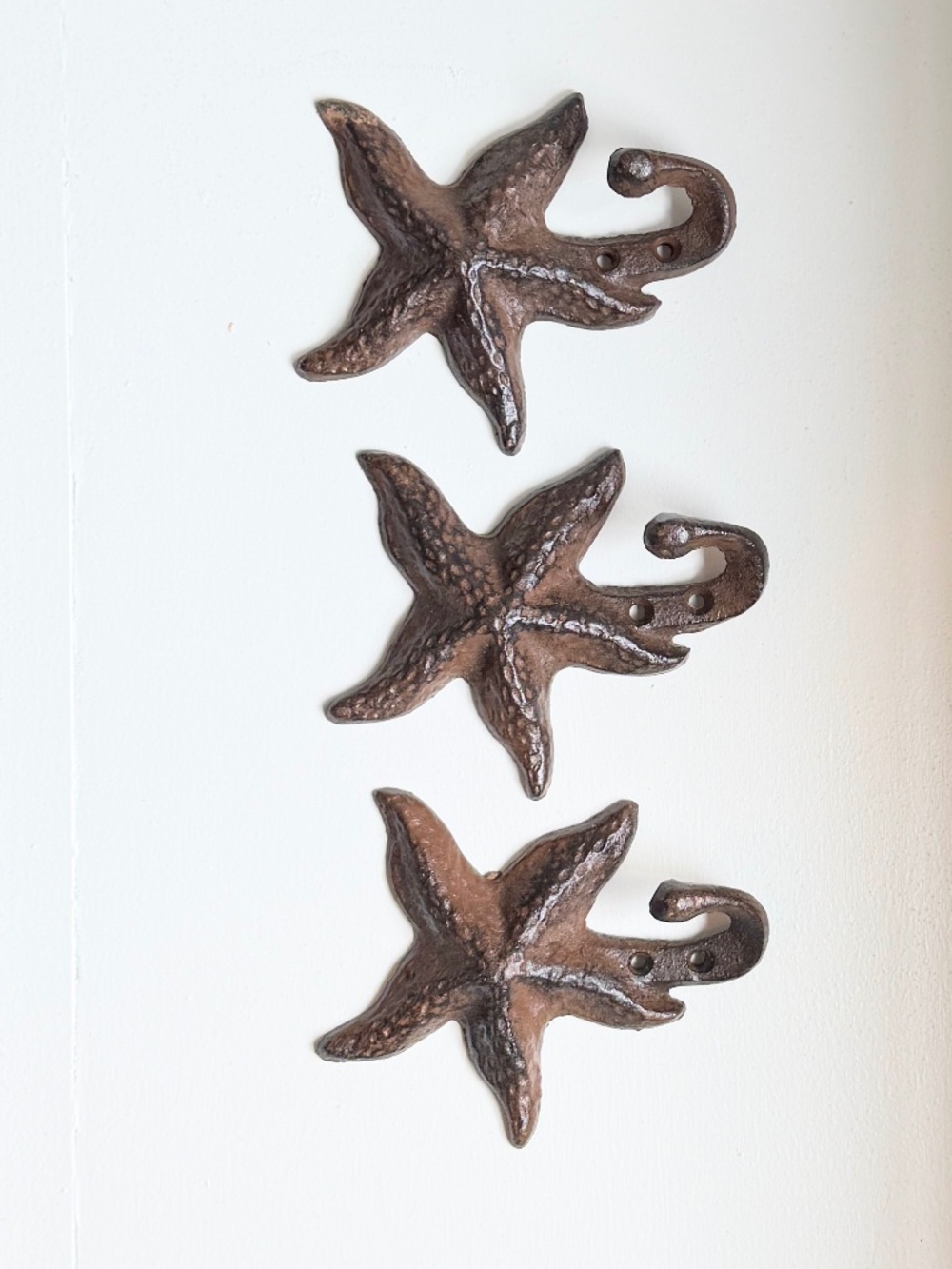 3 Cast Iron Wall Hooks - Breakwater Bay